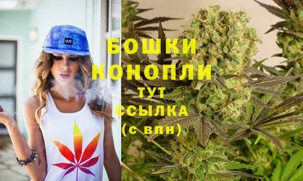 сатива Баксан